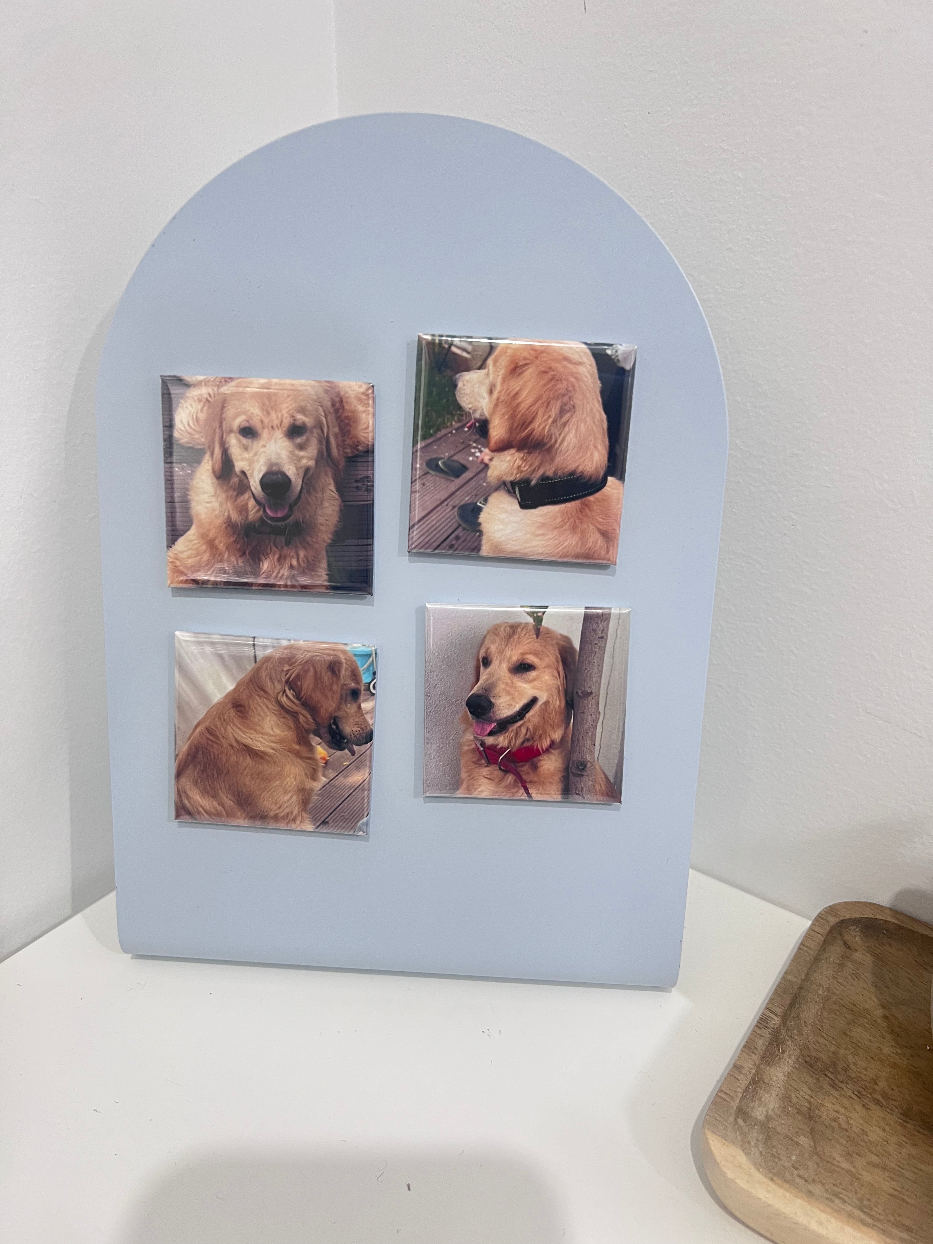 Custom Pet Photo Magnet 2x2 inch