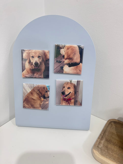 Custom Pet Photo Magnet 2x2 inch