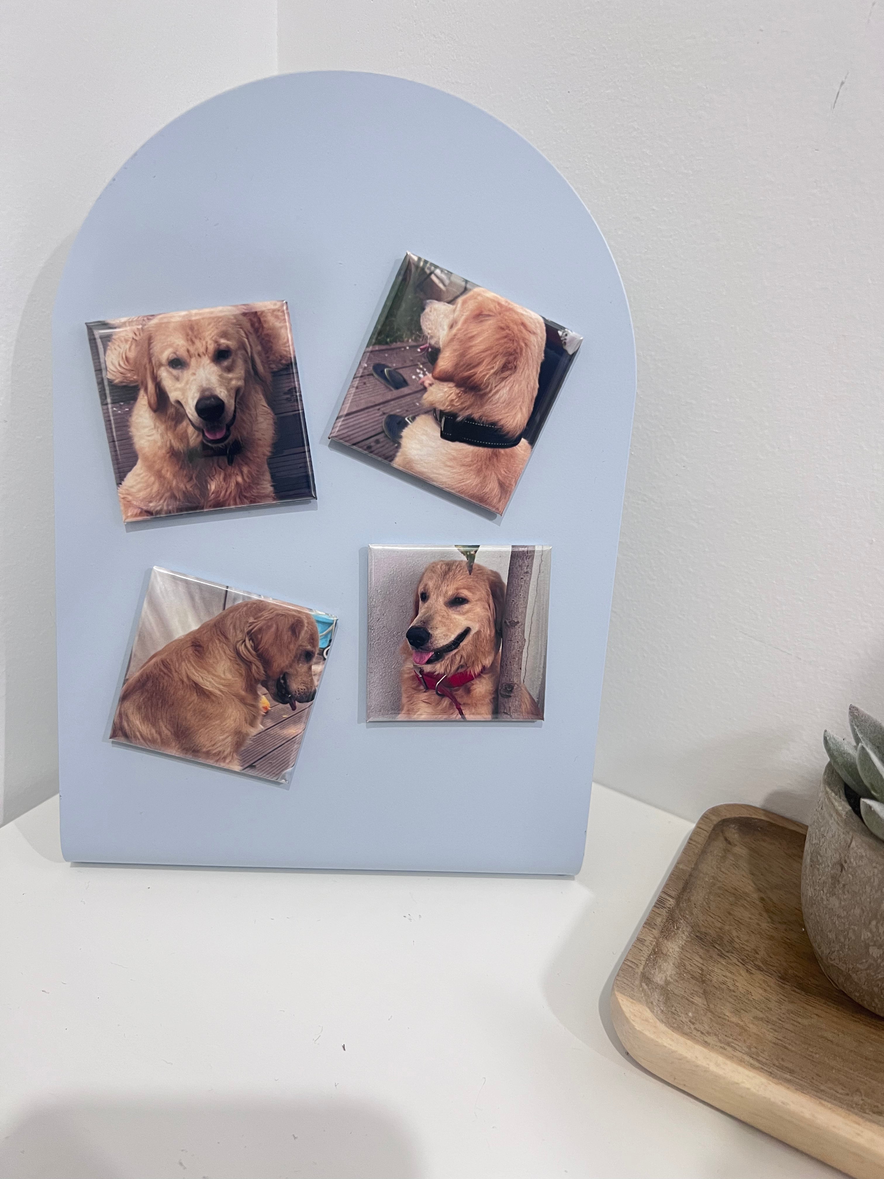 Custom Pet Photo Magnet 2x2 inch