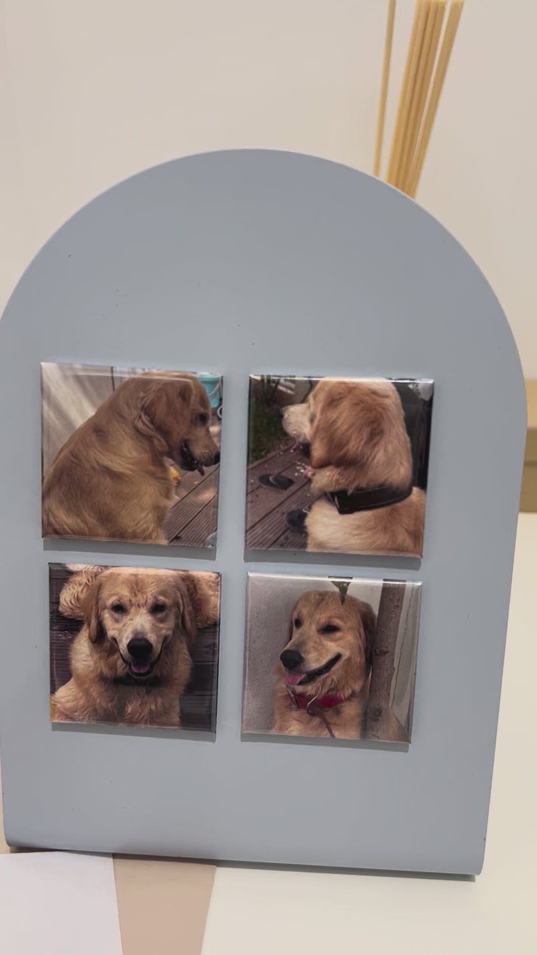 Custom Pet Photo Magnet 2x2 inch